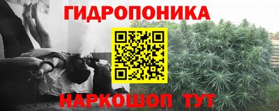 прущие грибы Рязань