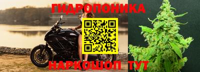прущие грибы Рязань